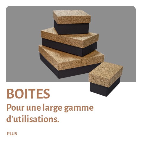 BOITES