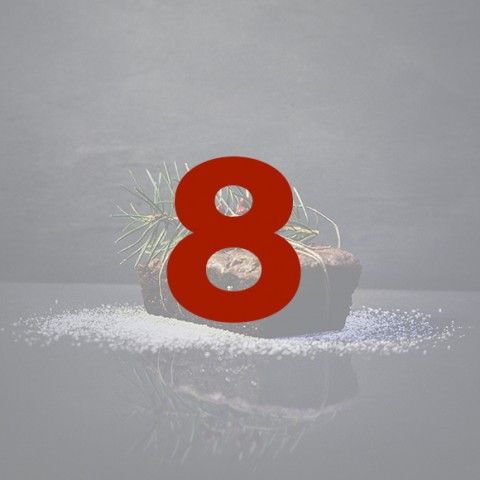 IMAGE3
