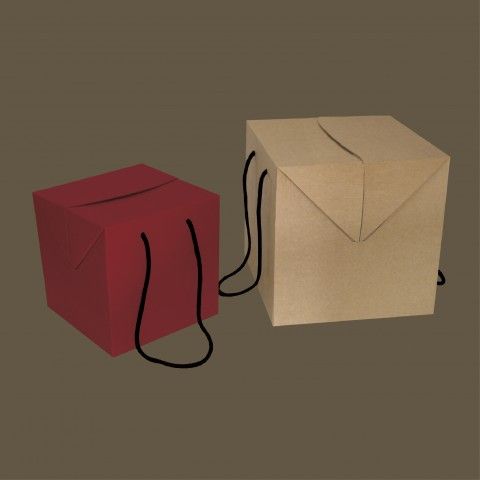 IMAGE3_1